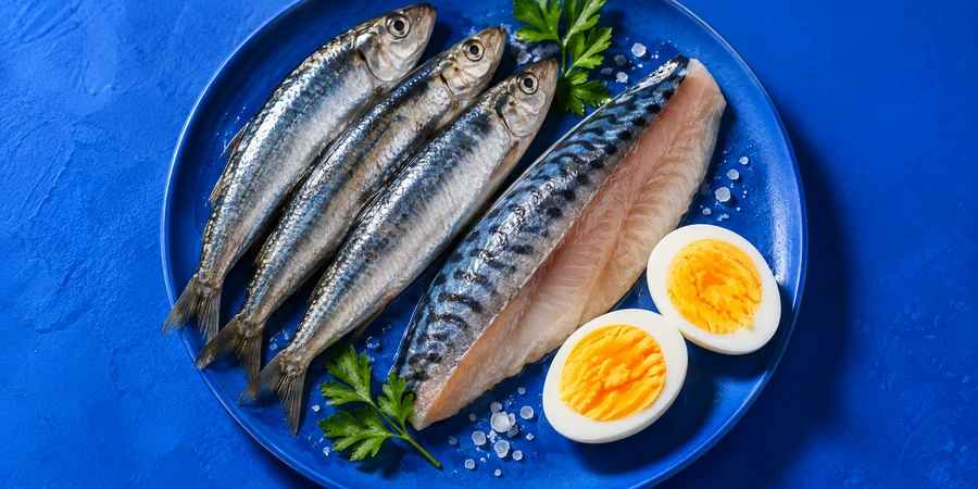 Sardines, filet de maquereau et œufs coupés en deux sur fond bleu vif