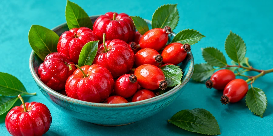 Petits fruits rouges d’acérola et baies de cynorrhodon dans une coupelle sur un fond turquoise
